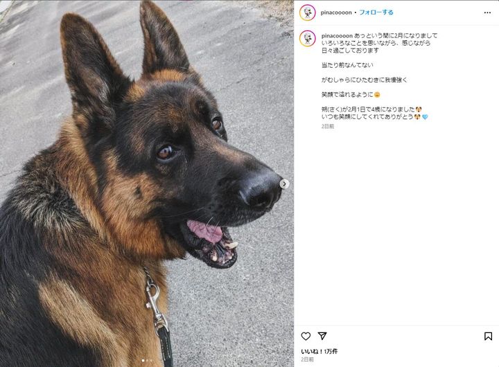 渋野日向子、今シーズンに向けて胸中を明かす！愛犬の写真も披露
