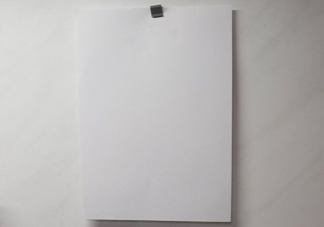 100均 ダイソー マグネットクリップ 冷蔵庫 ホワイトボード ロッカー 書類 プリント 