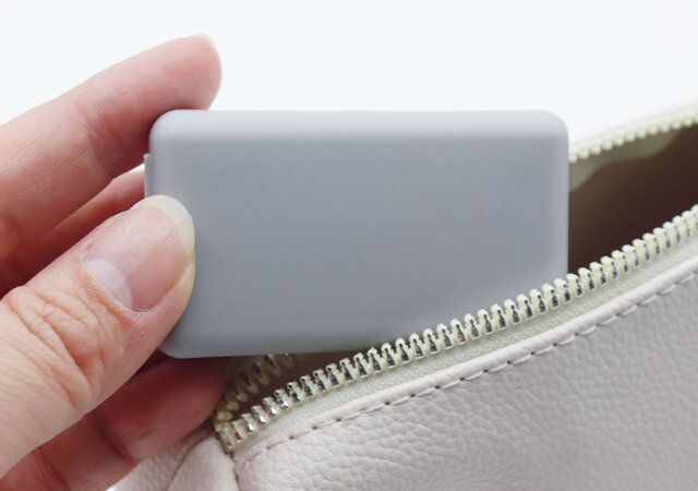 ダイソーの針ケース（マグネット付）をポーチに入れた様子