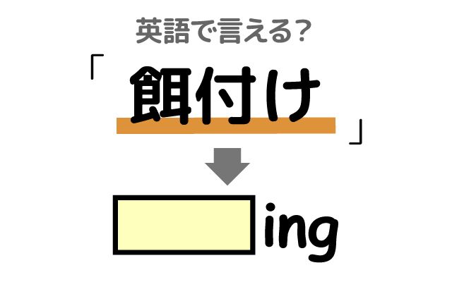 英語で【餌付け】は何て言う？「餌付けする」などの英語もご紹介