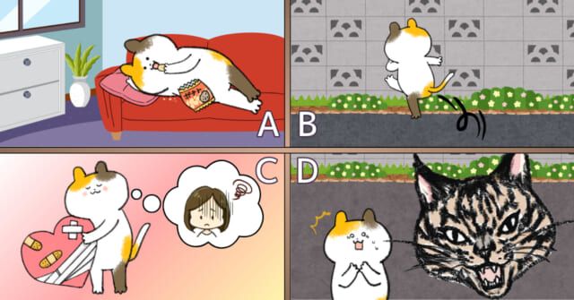 猫は何と言った？【心理テスト】嫌なことを忘れる方法を診断！
