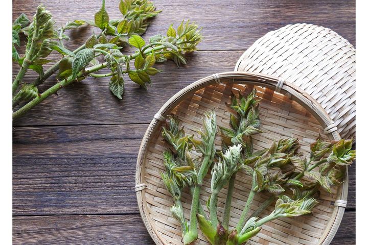 「雨水」期間の過ごし方2：旬の食材を食べて体を整える
