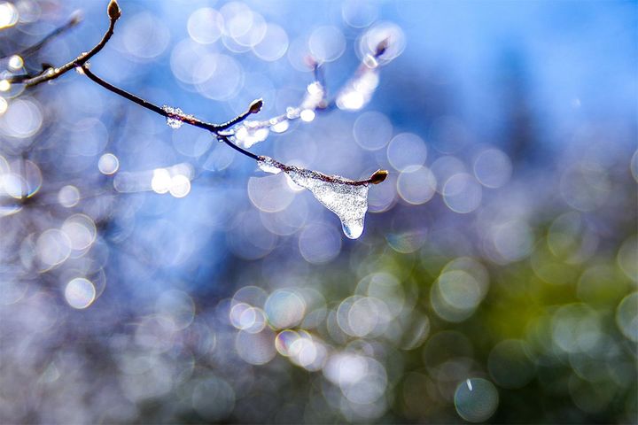 2月19日「雨水」ってどう読むの？