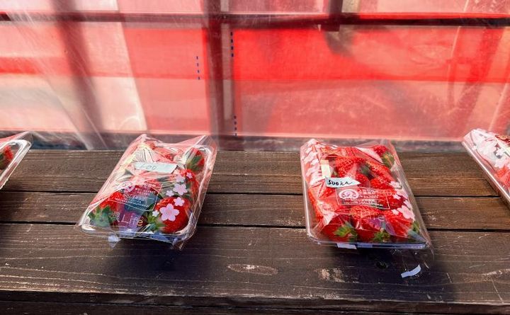 パックいちご