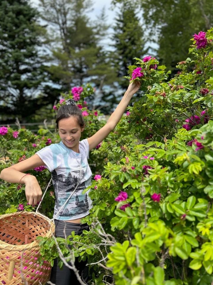 水原希子 kiiks 栽培の様子 キークス
