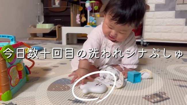 お気に入りおもちゃ、強奪の危機！この闘いどうなる！？？