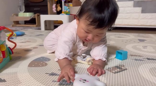 お気に入りおもちゃ、強奪の危機！この闘いどうなる！？？