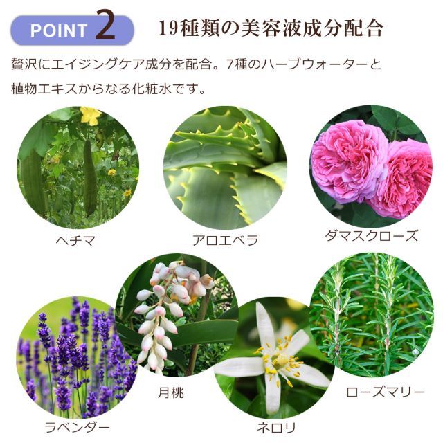 商品特徴2：19種類の美容液成分配