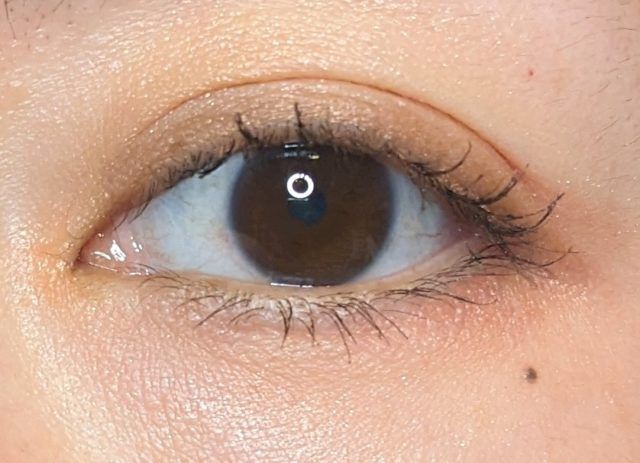 KATEアイシャドウの写真