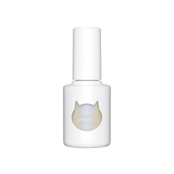 uka cat study persian white