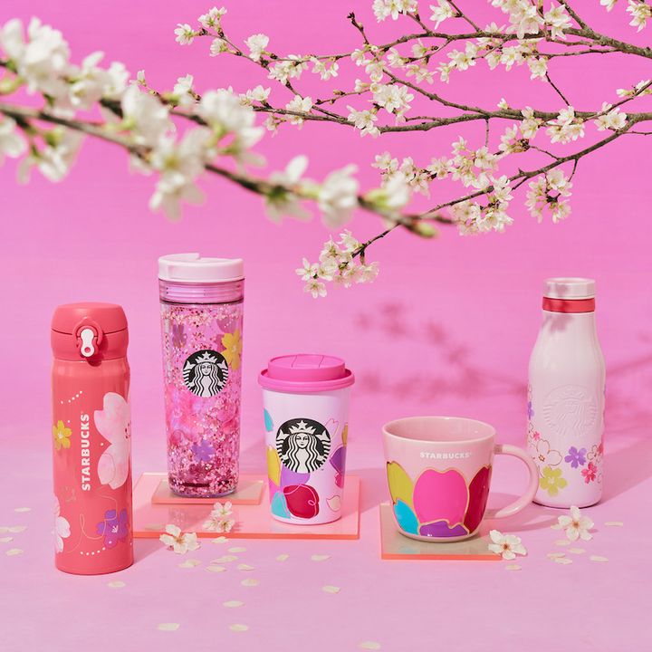 Starbucks スタバ 桜 2024 TOGO ロゴタンブラー グレース