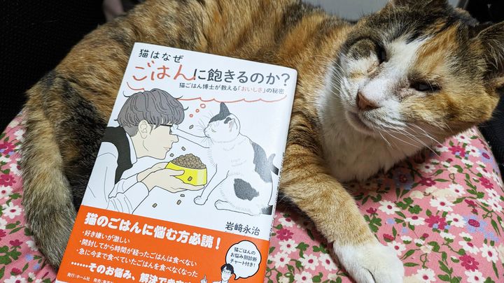 猫本書評：餅は餅屋に、病気は医者に、猫のごはんは「猫ごはん博士」に