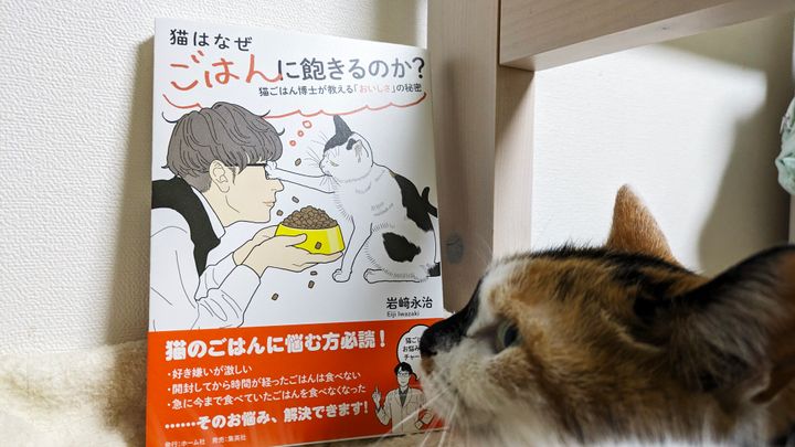 猫本書評：餅は餅屋に、病気は医者に、猫のごはんは「猫ごはん博士」に