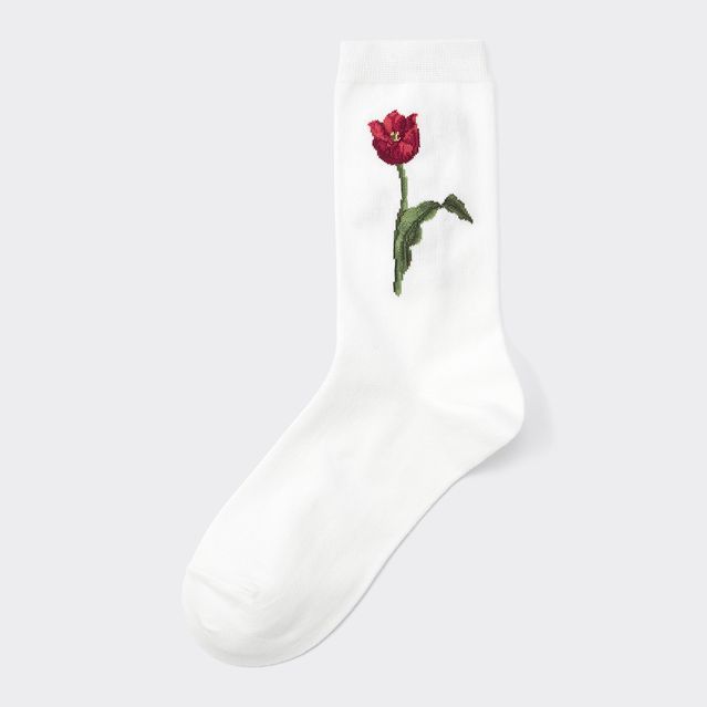 New York Botanical Garden