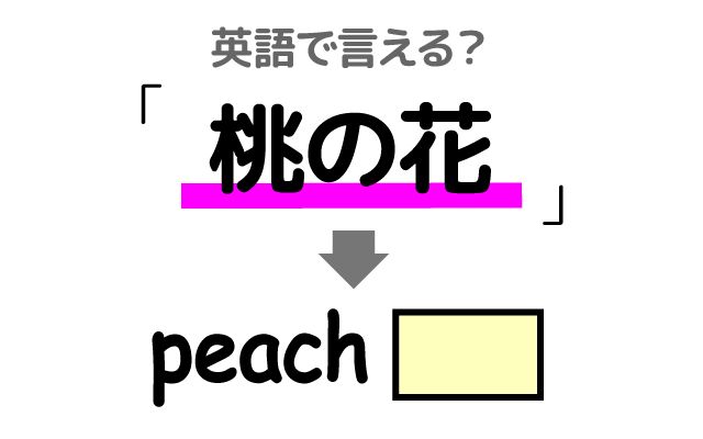 英語で【桃の花】は何て言う？「桃の花を飾る」などの英語もご紹介