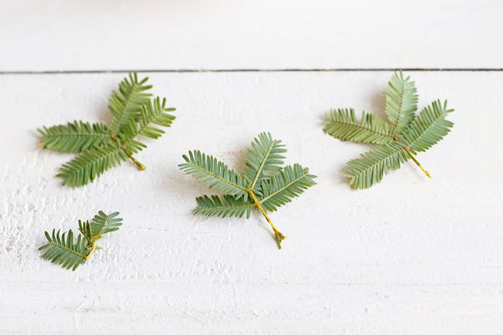 ミモザのキャンドルアレンジ