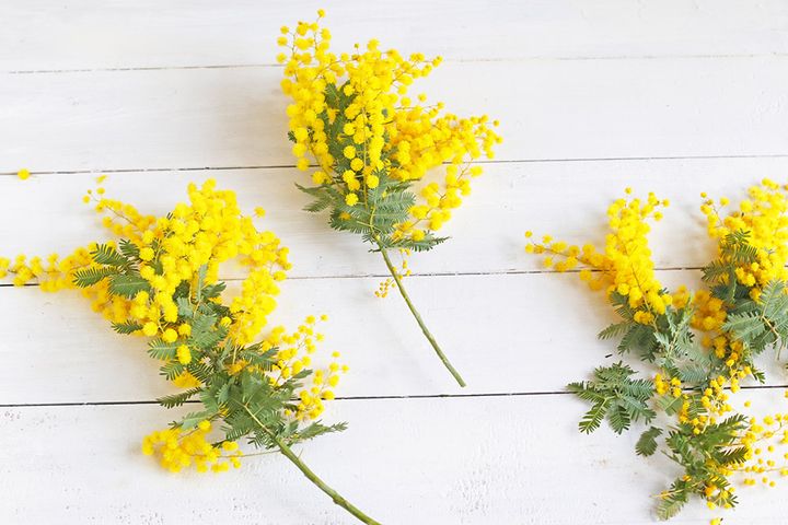 ミモザのアレンジ
