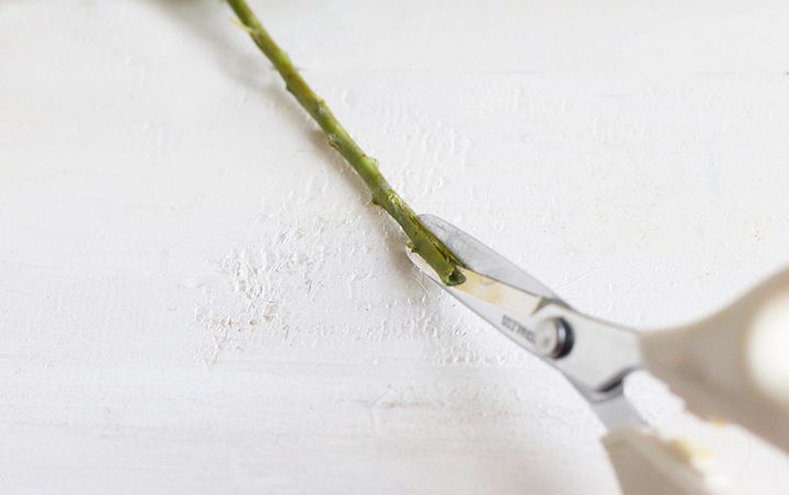 ミモザのアレンジ