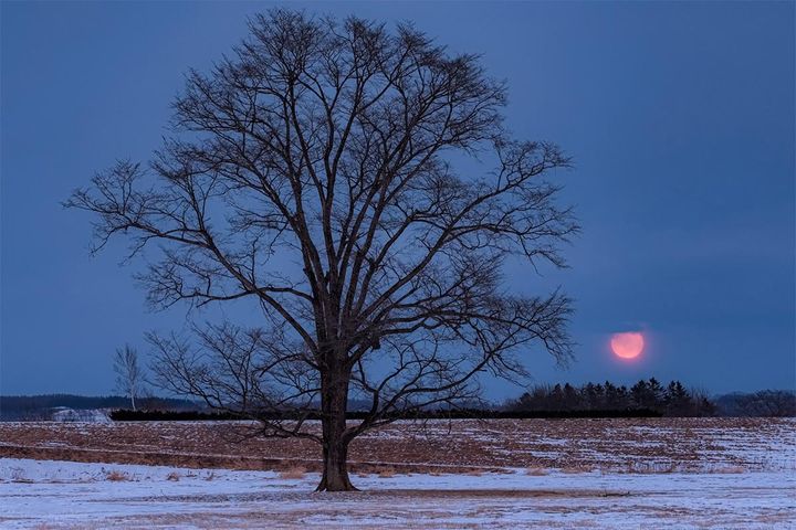 おとめ座の清廉潔白さを強める「スノームーン」