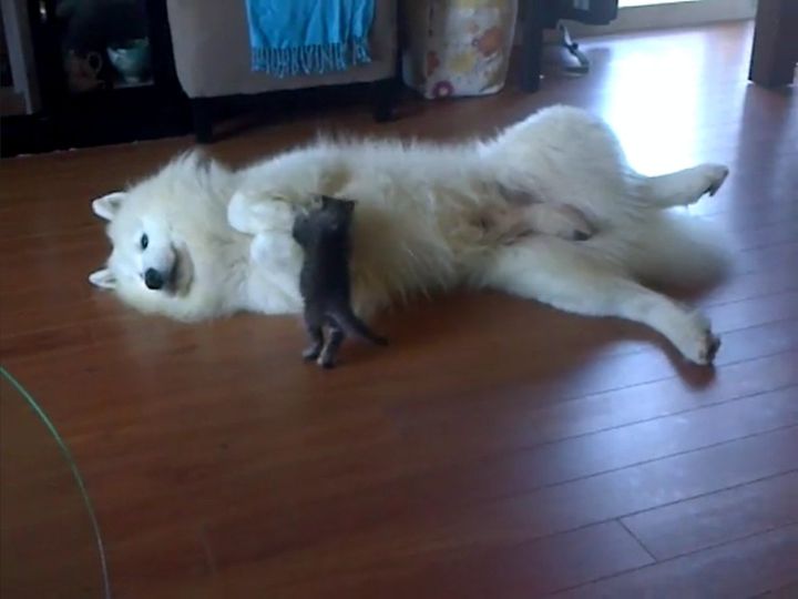 包容力がすごい！