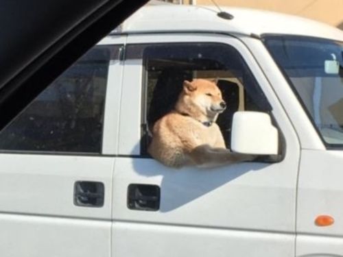 Cz7Dy2_UUAASDn8r(1)(1)r