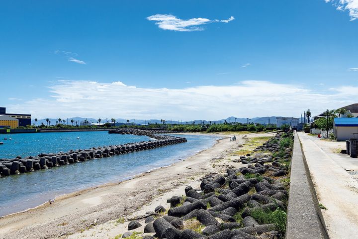 淡路島〈N&N STORE〉のショップ裏の風景