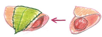 実は違う！ 関東風と関西風、ひなまつりの桜餅くらべ【中川政七商店とつくる、季節のしつらい。】の画像6