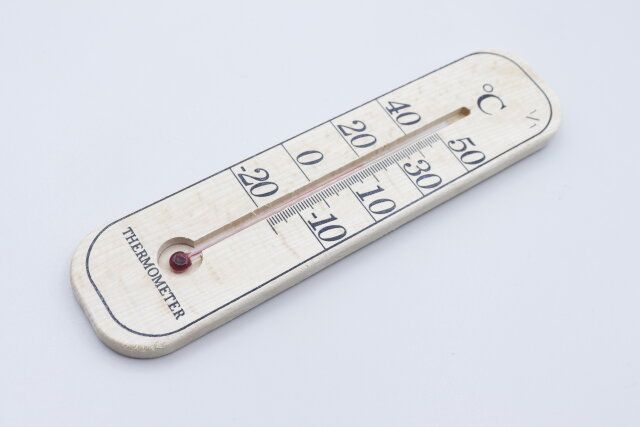 ダイソーのブナの木温度計（フック付き、壁掛けタイプ）