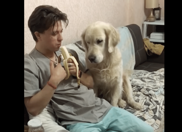 犬「バナナ、バナナ食べたい」盗み食いの方法が可愛い！