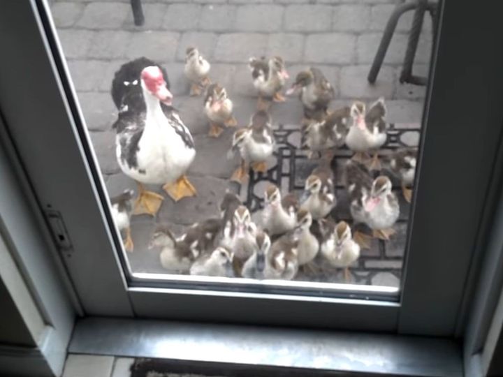 ドアの外で待ってる！？