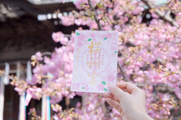 3月上旬が見ごろ♪河津桜やしだれ桜、ソメイヨシノが楽しめる桜新町の神社「桜神宮」