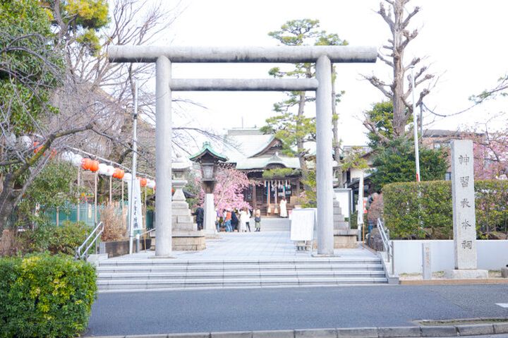 3月上旬が見ごろ♪河津桜やしだれ桜、ソメイヨシノが楽しめる桜新町の神社「桜神宮」