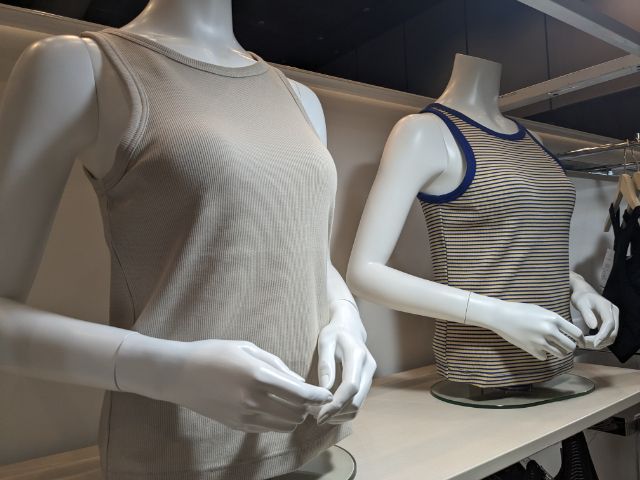 ボーダー柄のアメリカンスリーブブラトップ