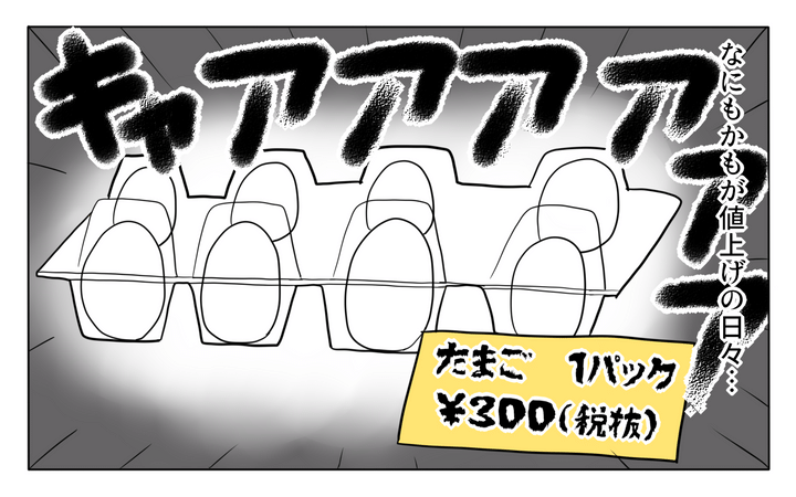 あれもこれも値上げに次ぐ値上げで悲鳴！ そんななか5歳の娘の意識に刻まれてしまった言葉は？【ぽこちゃんです＆どんちゃんです Vol.44】