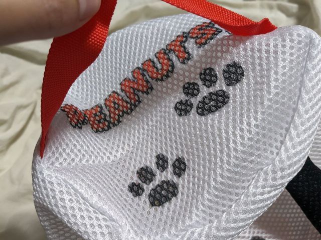 ゼクシィ2024年4月号