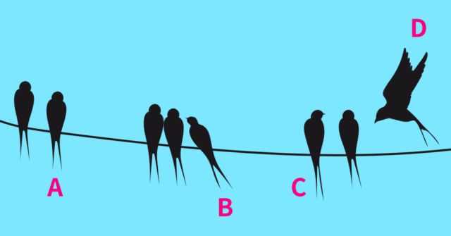 自分はどのツバメ？【心理テスト】あなたの今のNo.1地雷を診断！