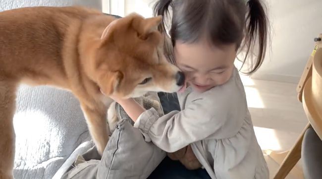 ゲージに入れられたワンコを救いたい！３才児、必死の作戦！