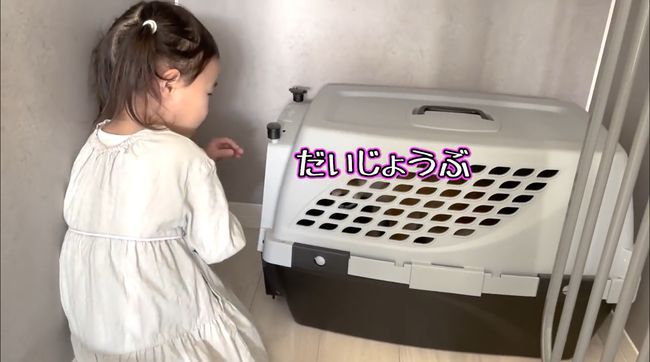 ゲージに入れられたワンコを救いたい！３才児、必死の作戦！