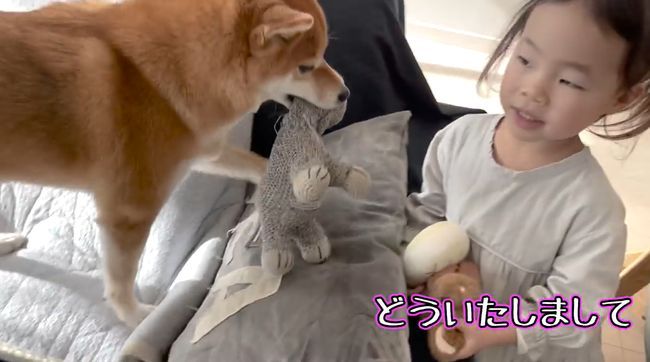 ゲージに入れられたワンコを救いたい！３才児、必死の作戦！