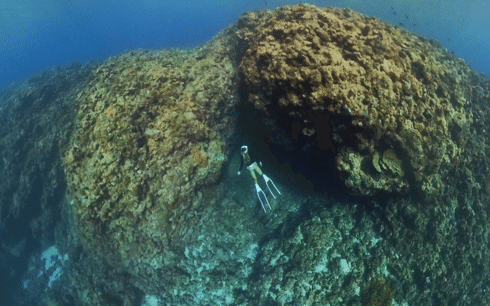 沖縄の広大な海の画像