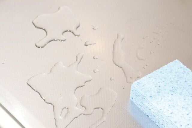 セリアのセルローズスポンジ