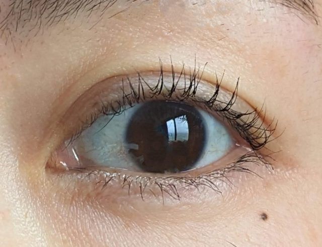 KISSME FERMEの写真