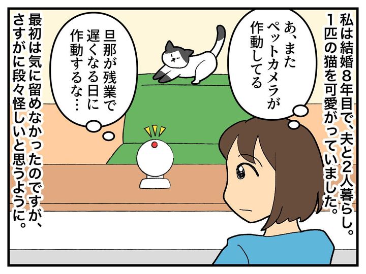 画像1: ペットカメラが作動