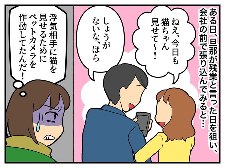 画像2: ペットカメラが作動