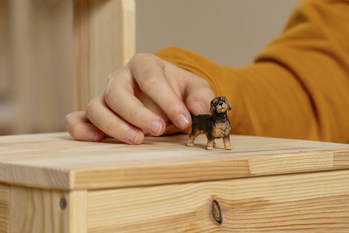 尻尾をつかんでちょこんと置いてみたい小さな「ワイヤードダックスフント」