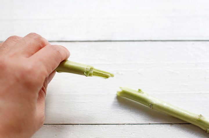 ストックの飾り方