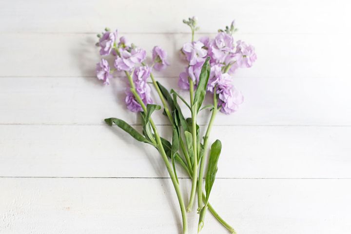 ストックの飾り方