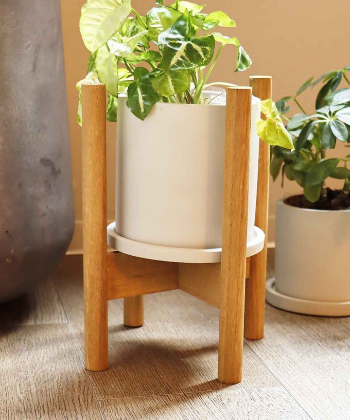 画像2: 出典：3COINS