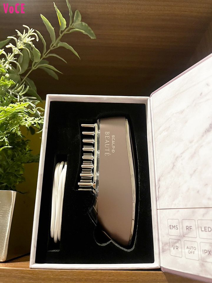 THE JET BOY BANGERZ 佐藤陽