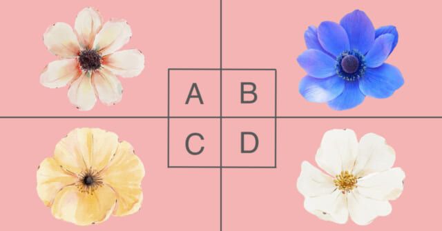 どの花が好き？【心理テスト】あなたに今一番必要な言葉を診断！